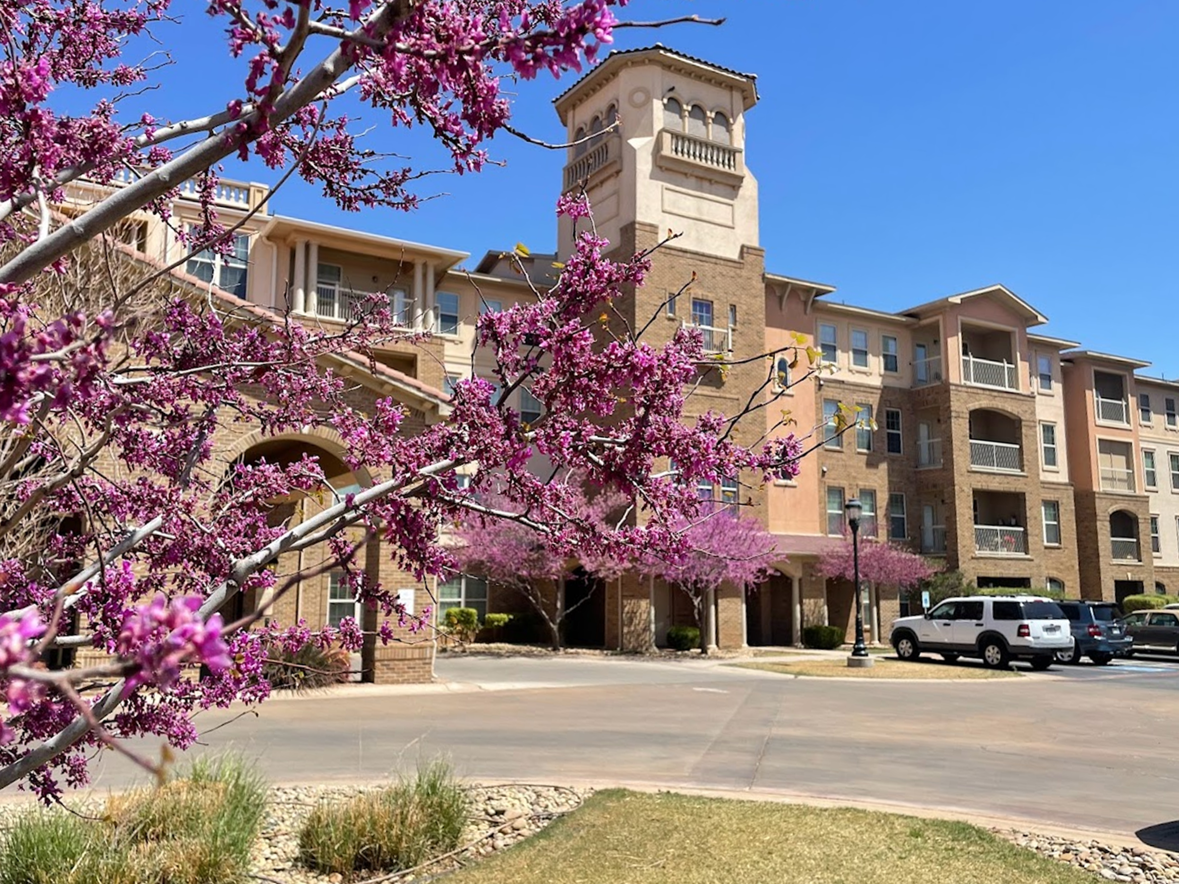 Beautifully maintained lawn with professional tree trimming