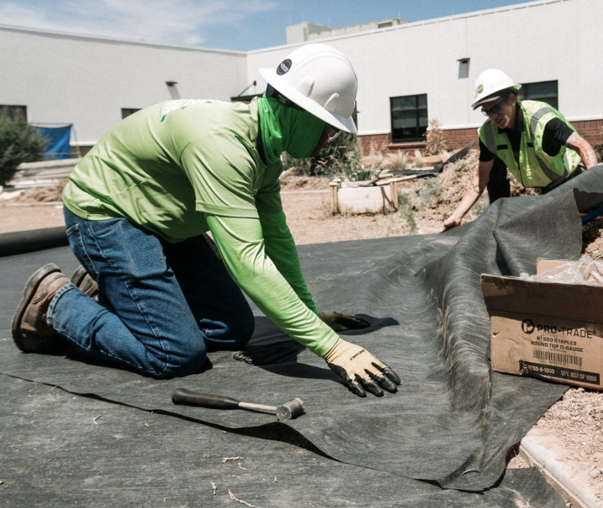 Professional landscape design featuring modern hardscaping, lush plantings, and elegant outdoor lighting that exemplifies Verde's comprehensive design approach